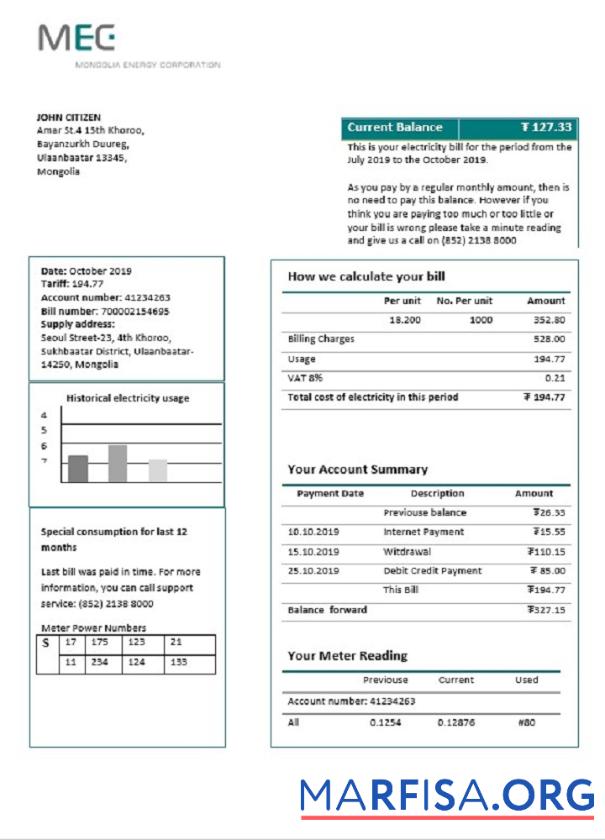 Realistic Mongolia Energy Corporation (MEC) electricity utility bill template in Word and PDF format